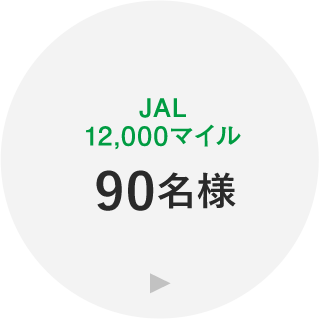 JAL12,000マイル 90名様